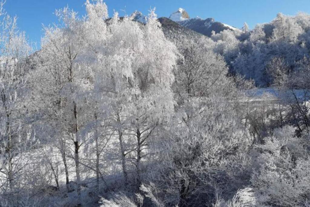 Apartmán Appt A Ancelle Pied Des Pistes Exteriér fotografie